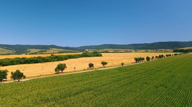 A strip of trees separates crop fields in the Slovak countryside. Green planted rows border gold stubble and scattered bales with wooded hills along the horizon.