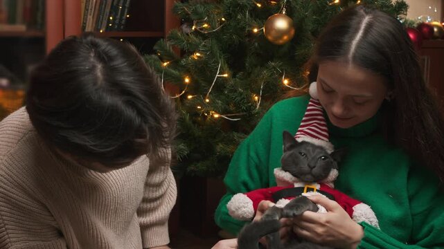 Romantic couple spending winter evening together by Christmas tree while woman cradles cat wearing festive red outfit. they stroke and squeeze pet like fluffy family member.