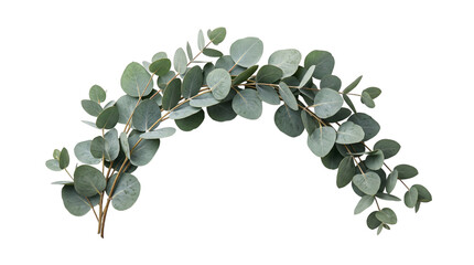 Eucalyptus garland arch on transparent background, isolated on transparent background © PNG Studio 99