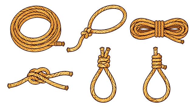 Hand drawn rope knots with loops and coils