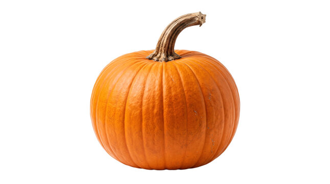 Orange pumpkin with stem on white background, isolated on transparent background