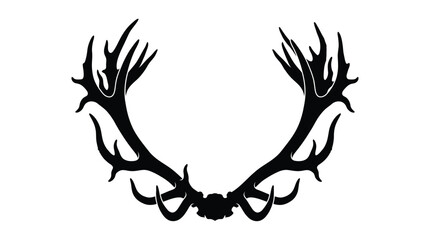 Fototapeta premium Large deer antlers form a striking black silhouette against a white background