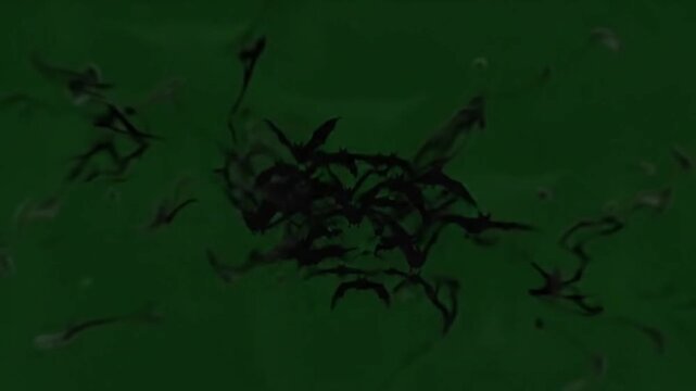 Ominous glowing eyes flying bats vfx 4k green screen for halloween.