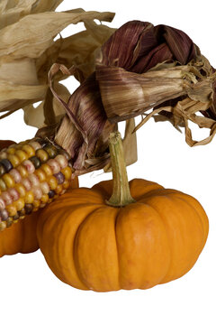 fall decorations with Indian corn and pumpkin Isolated on transparent background&nbsp;