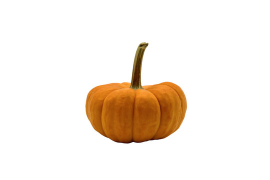 pumpkin Isolated on transparent background 