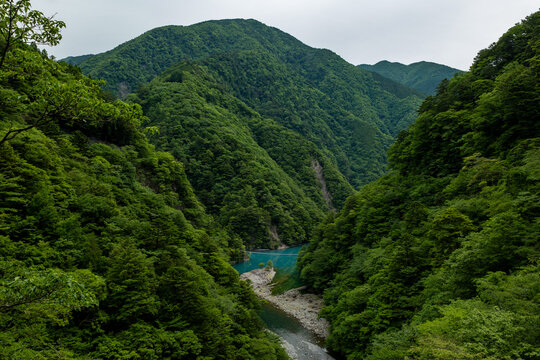 静岡県の川根本町寸又峡温泉にある「夢のつり橋」遠景と、それを取り囲む新緑の山々
