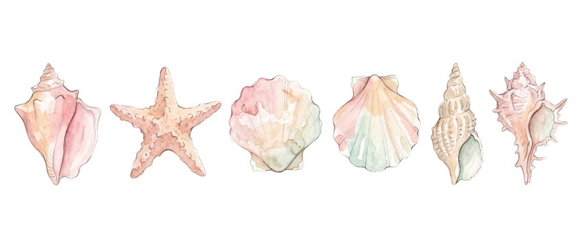 Watercolor seashell starfish set isolated on black background for summer beach ocean marine design element hand painted pastel seashell scallop conch illustration collection horizontal banner