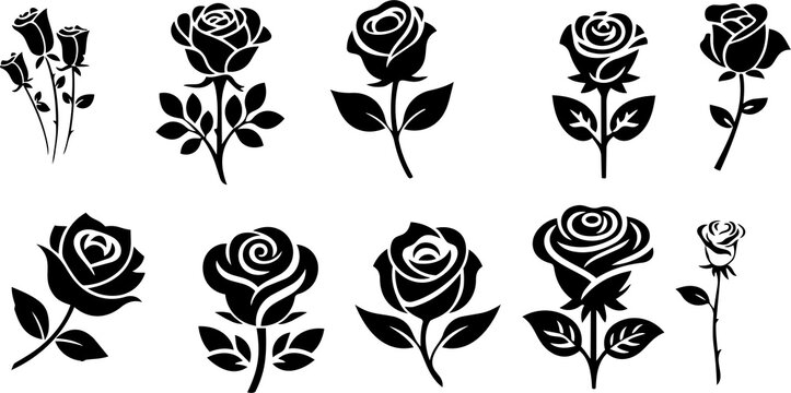 Collection of various blooming rose flower silhouettes with flower set