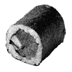 Delicious tuna and cucumber maki roll - traditional japanese cuisine - transparent background png stipple dotted halftone monochrome dots © Business Image