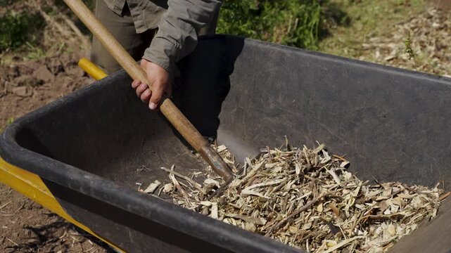Worker raking dry branches and leaves out of wheelbarrow onto the ground, slow motion