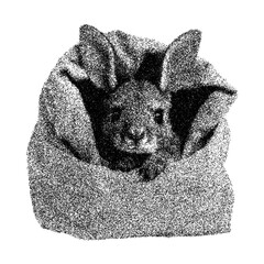 Adorable baby kangaroo peeking from burlap sack highlighting wildlife and cuteness - transparent background png stipple dotted halftone monochrome dots © Business Image