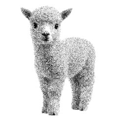 Fototapeta premium Adorable baby alpaca with fluffy wool and curious expression - transparent background png stipple dotted halftone monochrome dots