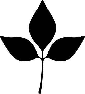 Traditional Indian sacred bael leaves bilva patra silhouette vector illustration for Durga Puja festival