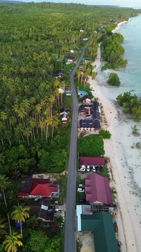 Vertical Drone Footage Biduk-Biduk Beach Berau East Kalimantan, Coastal Road with Beach Resorts White Sand and Palm Trees
