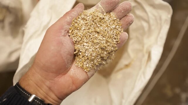 Hand scooping and examining golden grain in an open white sack during agricultural material inspection, close up view of loose cereal kernels and flakes