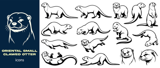 Obraz premium Oriental small-clawed otter icons set for wildlife branding and