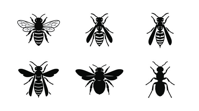 Stinging Insects Wasp Bee Hornet Silhouette Vector Set for Pest Control and Nature Logos
