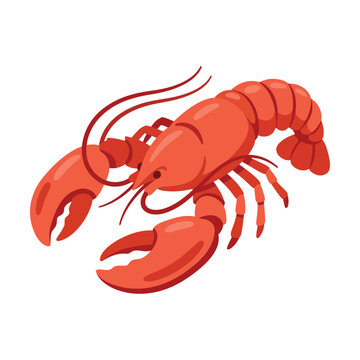 Bright red lobster illustration with large claws for seafood menu design and culinary concepts