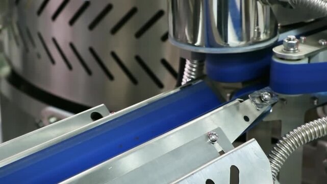 dogs travel on blue conveyor belt. Metal clamps position each sausage. Blue rollers support hot dogs during production. Machinery guides hot dogs smoothly