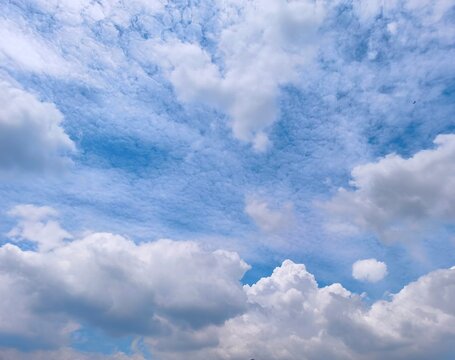 Beautiful wide shot of a vast blue sky filled with scattered white cumulus clouds