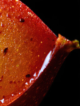 Macro apple slice glistening moisture dark background vivid red fruit surface