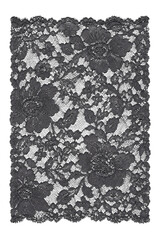 Elegant black floral lace fabric with intricate botanical patterns on a white background © Sapphire