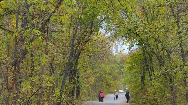 Autumnal forest trail with people walking under green and yellow trees