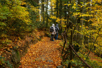 Fototapeta premium Winding mountain road through beautiful autumn forest