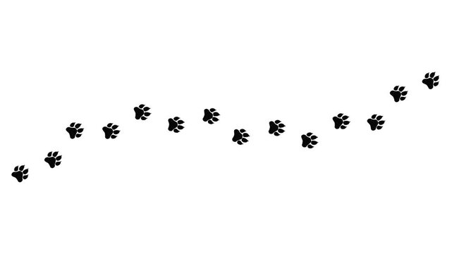 Black hand drawn paw print track animation, doodle pet footprints sequence, isolated video overlay element