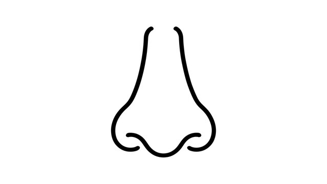Human nose outline icon featuring minimalist black lines for diagnostics.