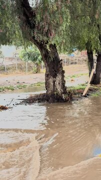 Flooded park and puddles after heavy rain