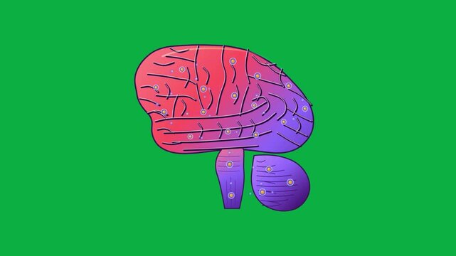 Visualization of Neural Network Connectivity in a Human Brain Animation