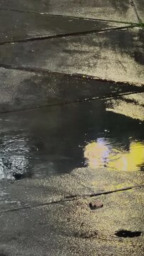City Traffic Lights Reflected on Wet Road at Night