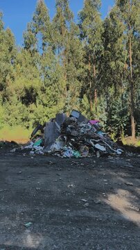 Illegal Trash Dump Pile Near Trees