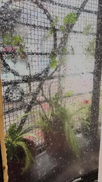 Rainy urban street and wet pavement