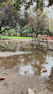 Flooded park and puddles after heavy rain