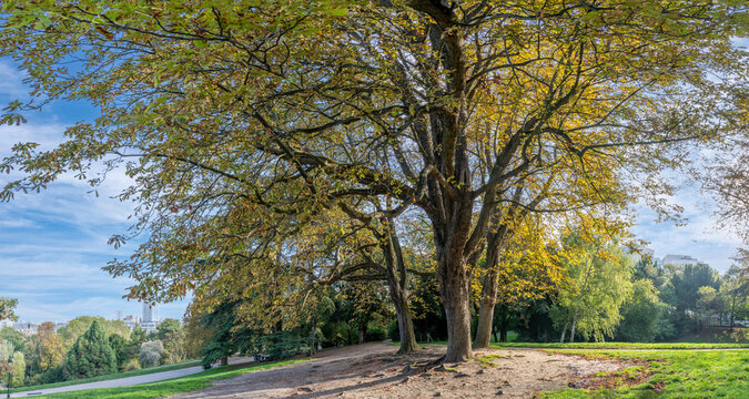 Paris, France - 10 04 2026: Park des Buttes Chaumont. Panoramic view of a remarkable colorful tree