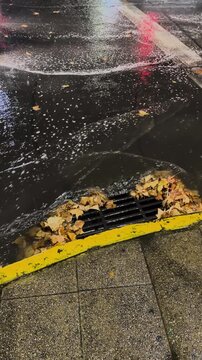 City Traffic Lights Reflected on Wet Road at Night