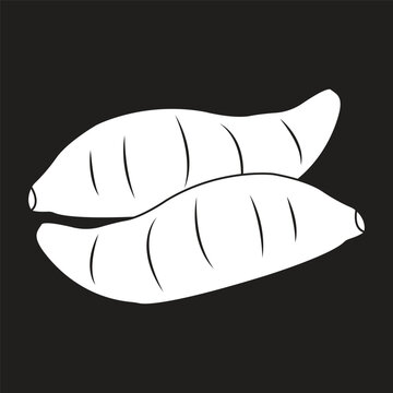 Sweet Potato White Line Art Vector Illustration on Black Background