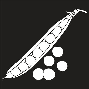 Pea Pod White Line Art Vector Illustration on Black Background