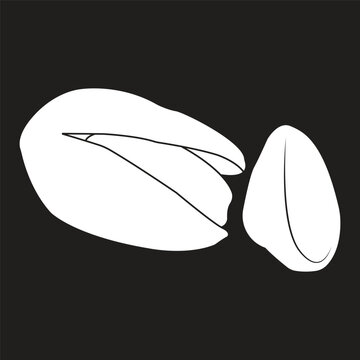 Flat Vector Illustration of Pistachio Nuts