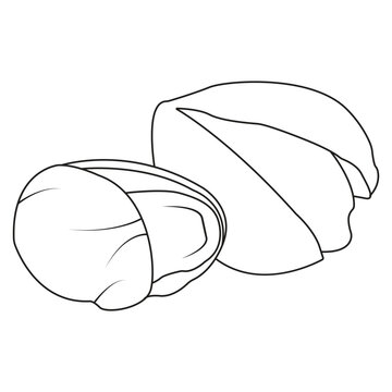 Flat Vector Illustration of Pistachio Nuts