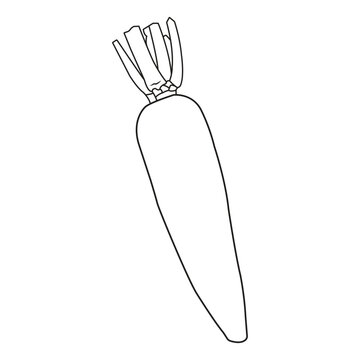 Flat vector illustration of a carrot