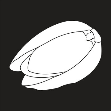 Flat Vector Illustration of Pistachio Nuts