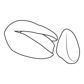 Flat Vector Illustration of Pistachio Nuts