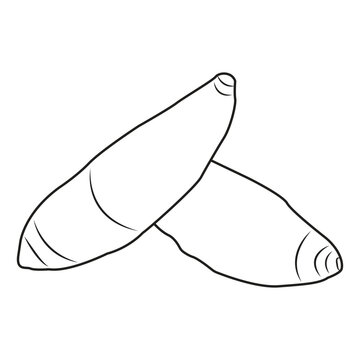 Cassava Root Line Art Vector Illustration for a Coloring Book