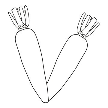 Flat vector illustration of a carrot