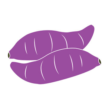 Flat Vector Illustration of Purple Sweet Potato