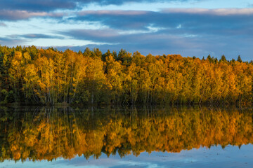 Golden autumn forest reflecting in Chlum u Trebone lake © Richard Semik
