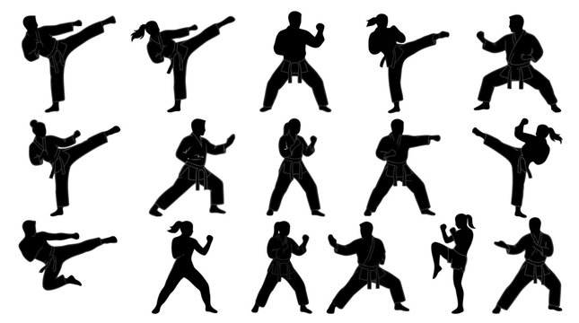 Karate martial arts fighters in varied combat positions black silhouettes.